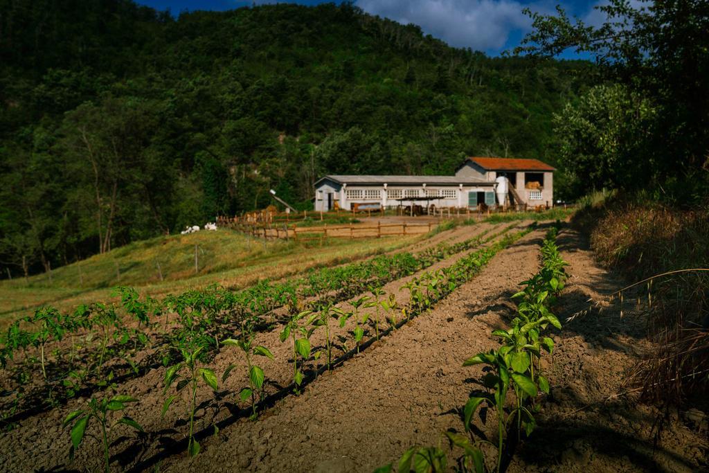 Agriturismo Cascina Del Vai 卡伊罗蒙泰诺泰 外观 照片